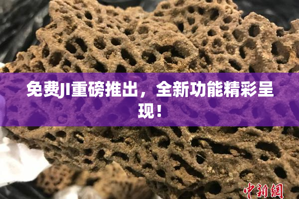 免费JI重磅推出，全新功能精彩呈现！