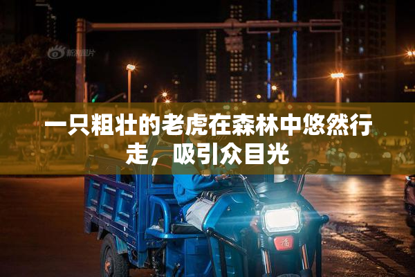 一只粗壮的老虎在森林中悠然行走，吸引众目光