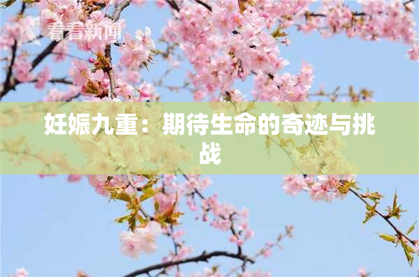 妊娠九重：期待生命的奇迹与挑战