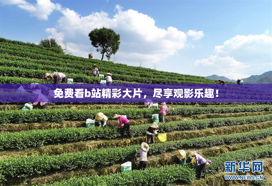免费看b站精彩大片，尽享观影乐趣！