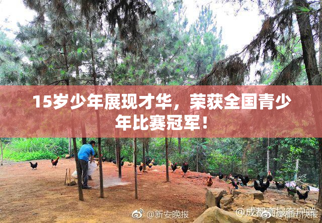 15岁少年展现才华，荣获全国青少年比赛冠军！