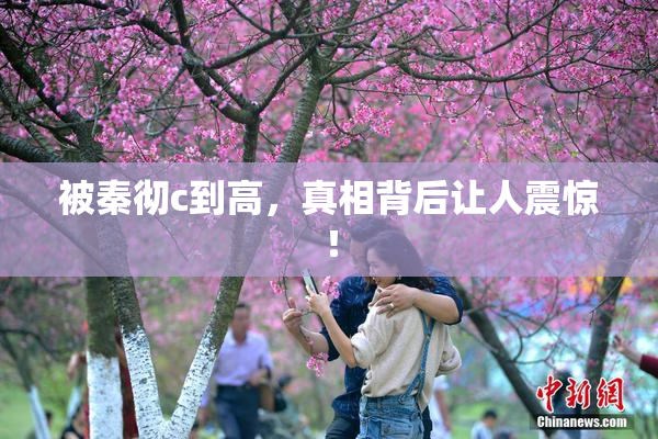 被秦彻c到高，真相背后让人震惊！