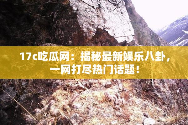 17c吃瓜网：揭秘最新娱乐八卦，一网打尽热门话题！