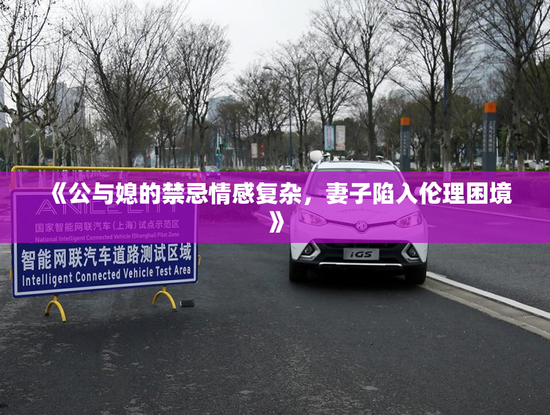 《公与媳的禁忌情感复杂，妻子陷入伦理困境》