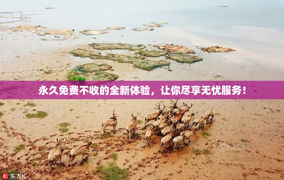 永久免费不收的全新体验，让你尽享无忧服务！