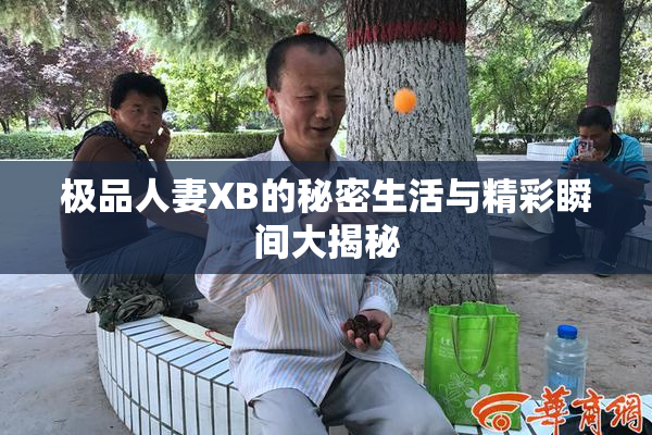 极品人妻XB的秘密生活与精彩瞬间大揭秘