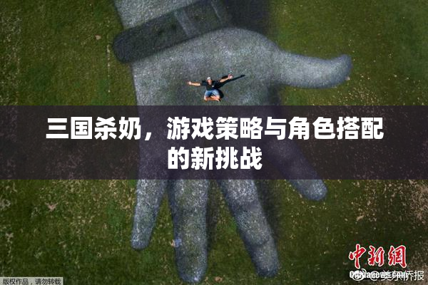 三国杀奶，游戏策略与角色搭配的新挑战