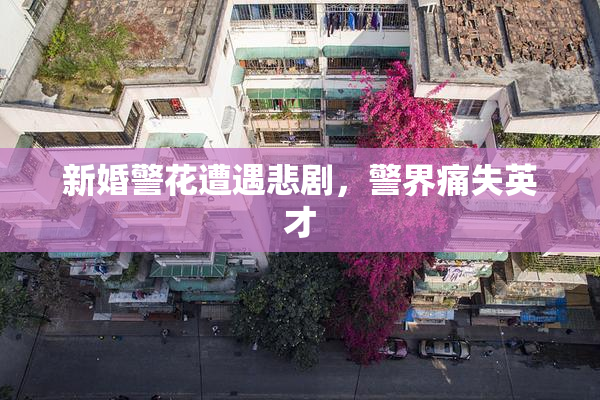 新婚警花遭遇悲剧，警界痛失英才