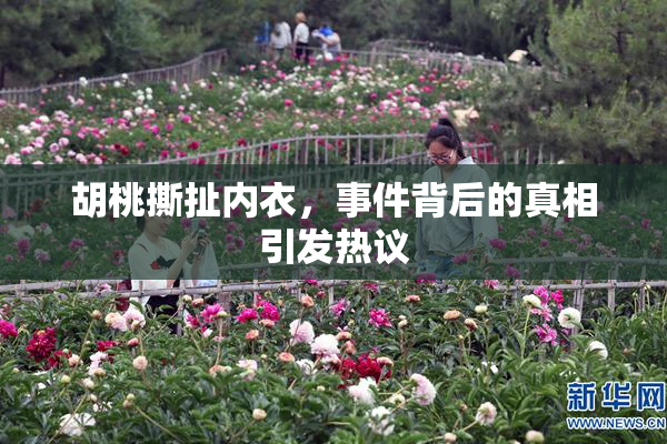 胡桃撕扯内衣，事件背后的真相引发热议