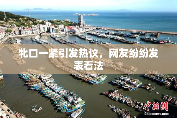 牝口一紧引发热议，网友纷纷发表看法