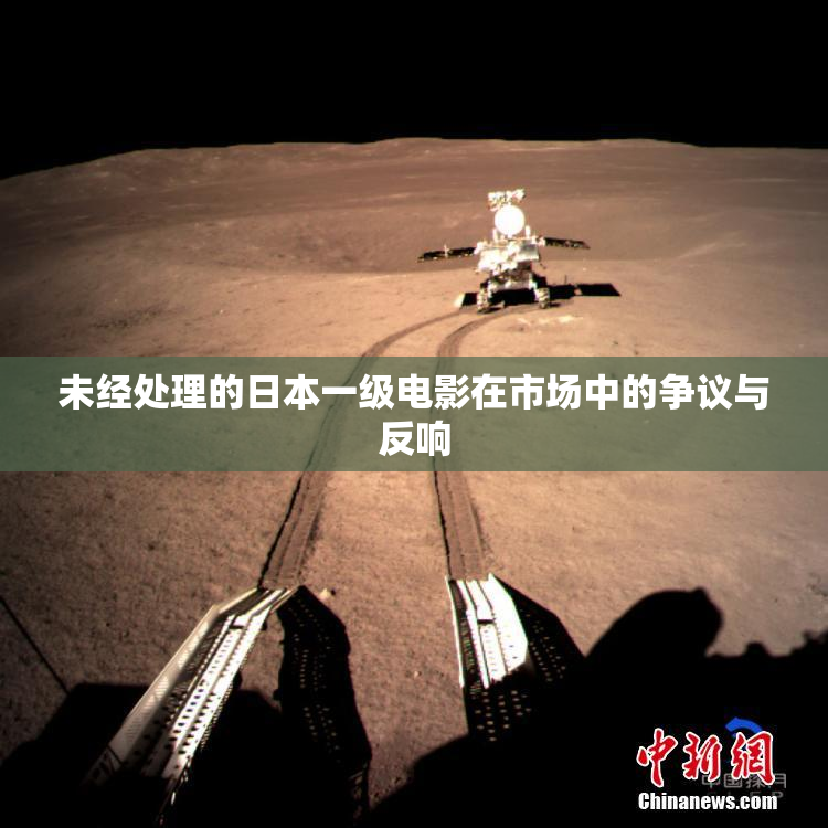 未经处理的日本一级电影在市场中的争议与反响