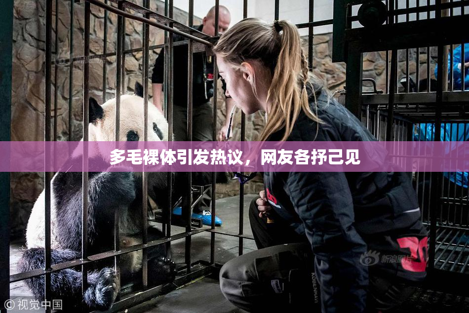 多毛裸体引发热议，网友各抒己见
