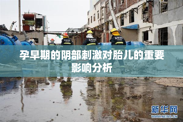 孕早期的阴部刺激对胎儿的重要影响分析