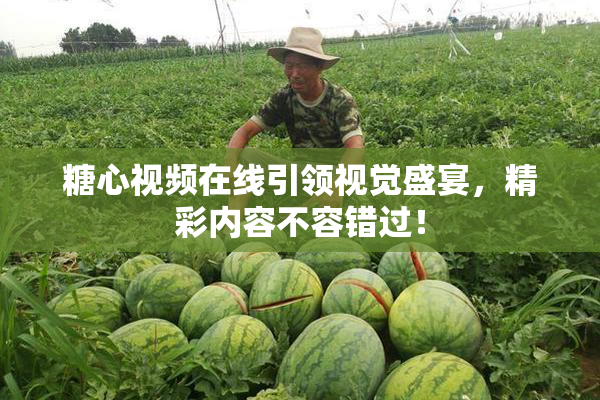 糖心视频在线引领视觉盛宴，精彩内容不容错过！