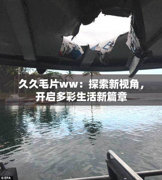 久久毛片ww：探索新视角，开启多彩生活新篇章