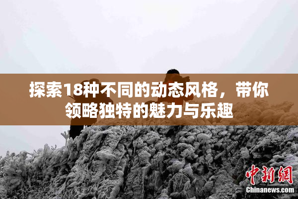 探索18种不同的动态风格，带你领略独特的魅力与乐趣
