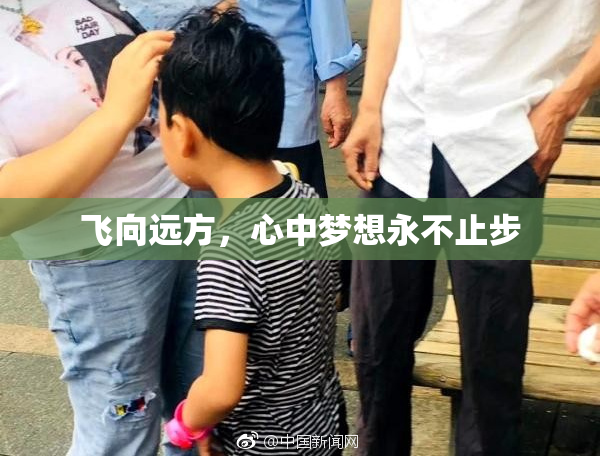 飞向远方，心中梦想永不止步