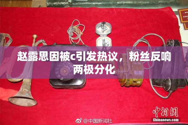 赵露思因被c引发热议，粉丝反响两极分化