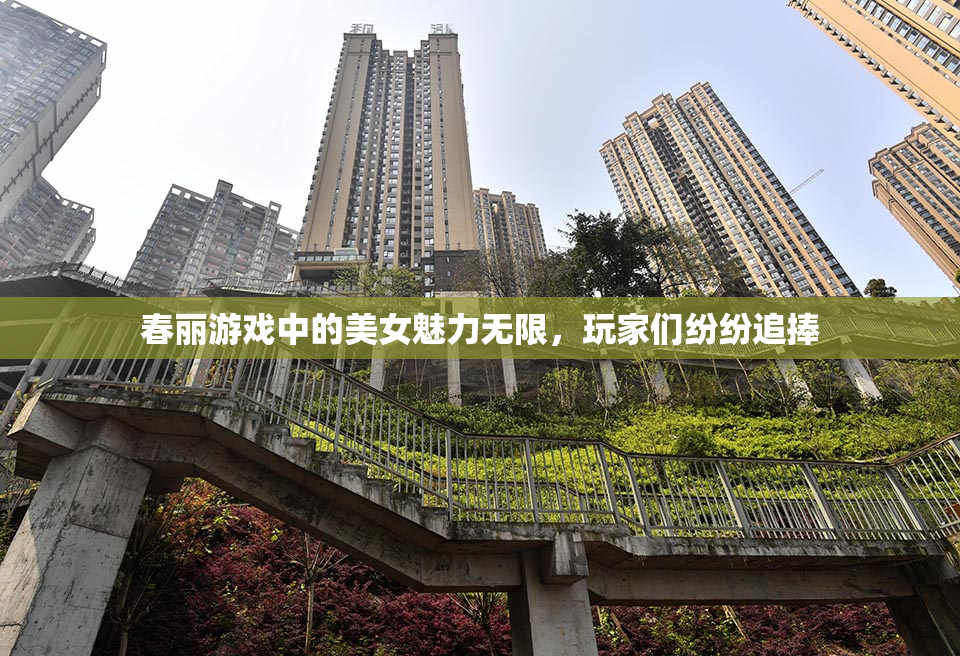 春丽游戏中的美女魅力无限，玩家们纷纷追捧