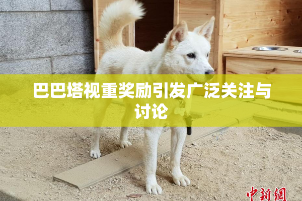 巴巴塔视重奖励引发广泛关注与讨论