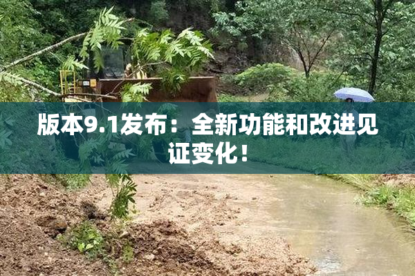 版本9.1发布：全新功能和改进见证变化！