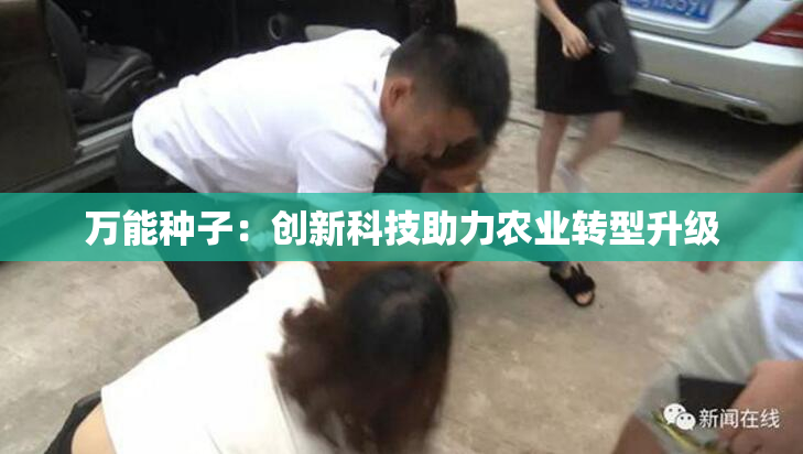 万能种子：创新科技助力农业转型升级