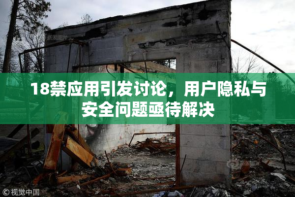 18禁应用引发讨论，用户隐私与安全问题亟待解决