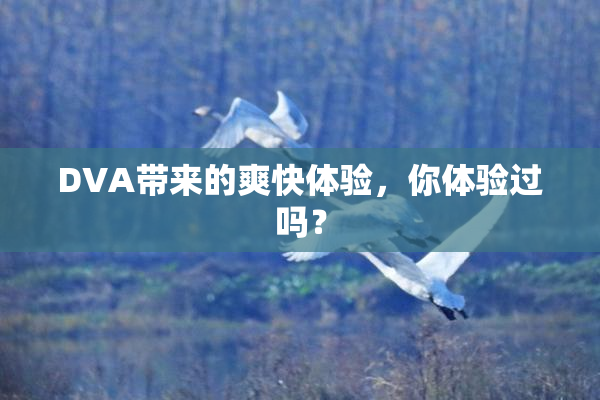 DVA带来的爽快体验，你体验过吗？
