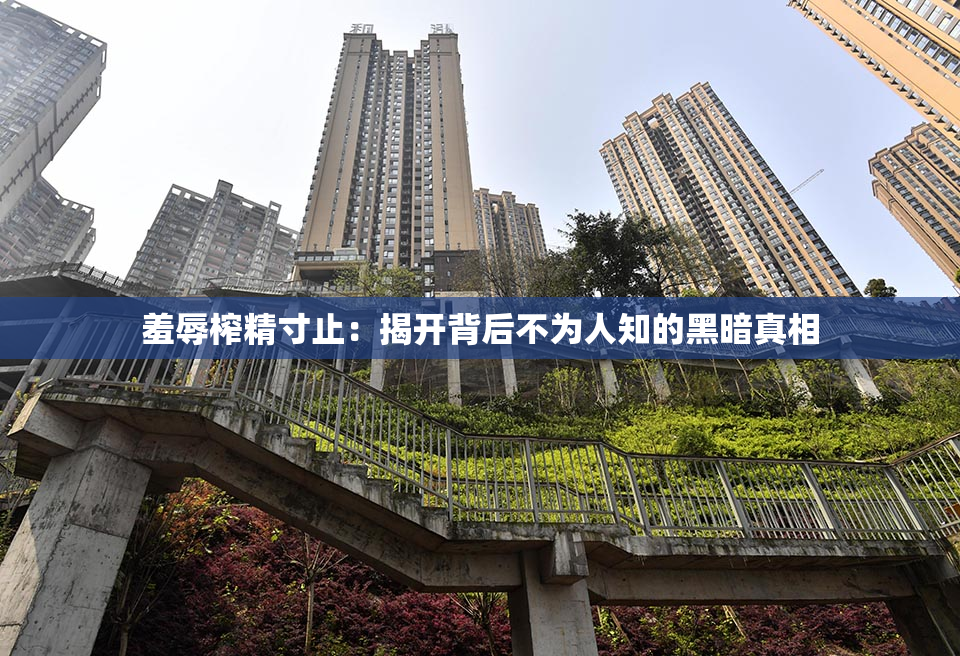 羞辱榨精寸止：揭开背后不为人知的黑暗真相