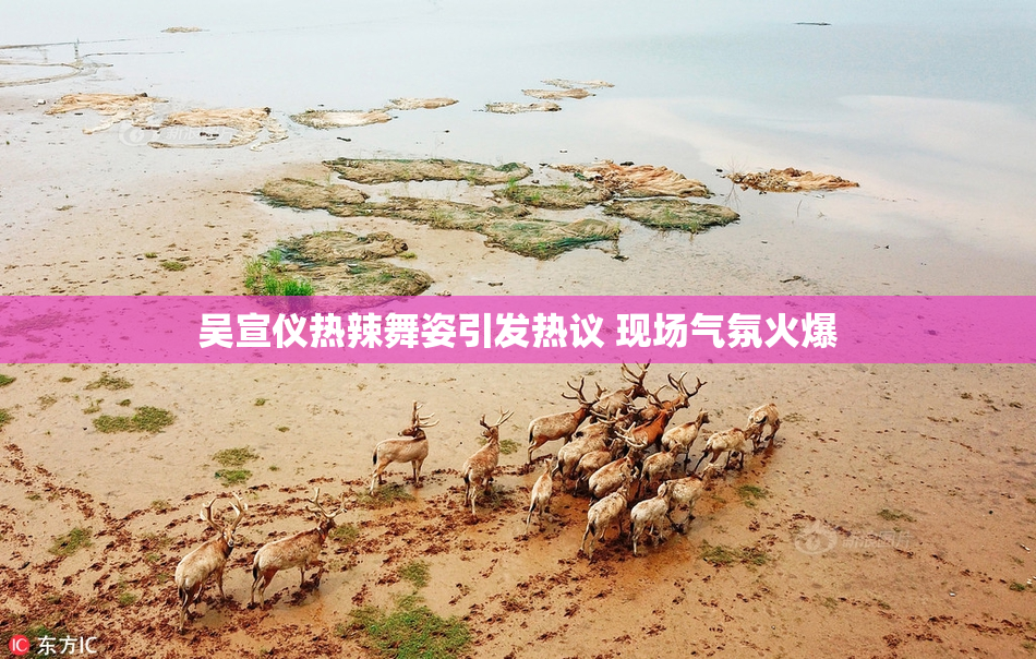 吴宣仪热辣舞姿引发热议 现场气氛火爆