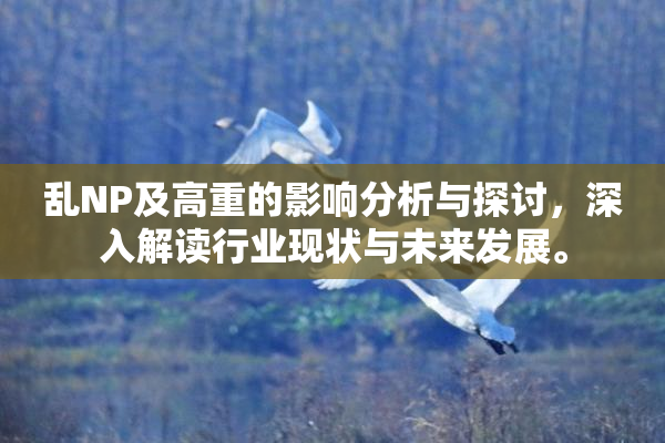 乱NP及高重的影响分析与探讨，深入解读行业现状与未来发展。