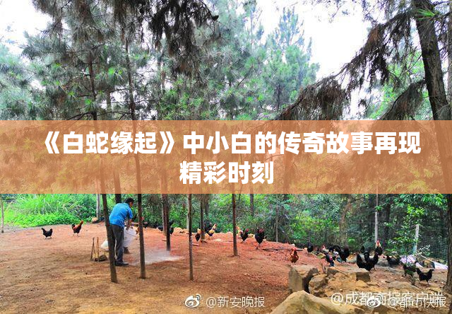 《白蛇缘起》中小白的传奇故事再现精彩时刻