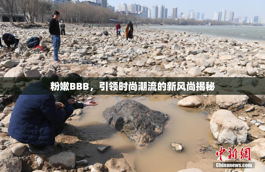 粉嫩BBB，引领时尚潮流的新风尚揭秘