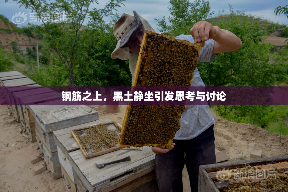 钢筋之上，黑土静坐引发思考与讨论