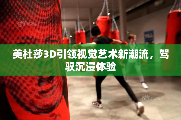 美杜莎3D引领视觉艺术新潮流，驾驭沉浸体验