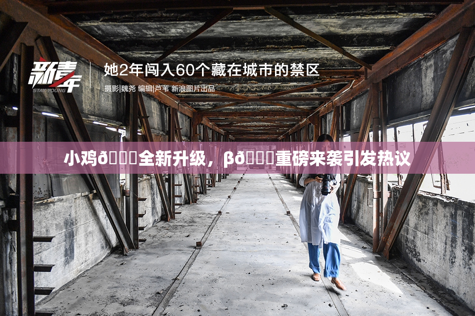 小鸡🐔全新升级，β🔞重磅来袭引发热议