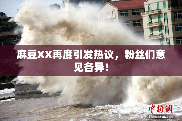 麻豆XX再度引发热议，粉丝们意见各异！