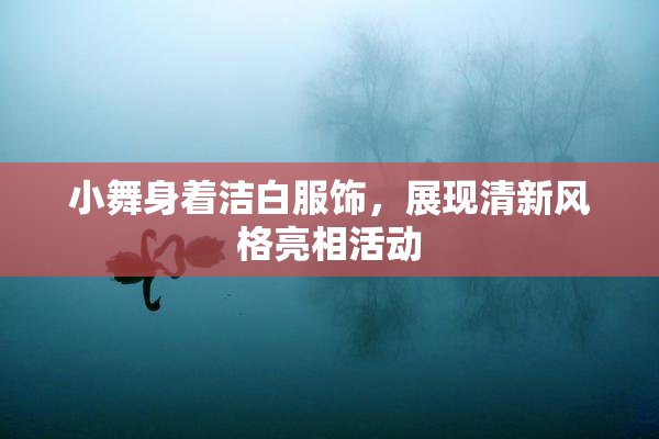 小舞身着洁白服饰，展现清新风格亮相活动