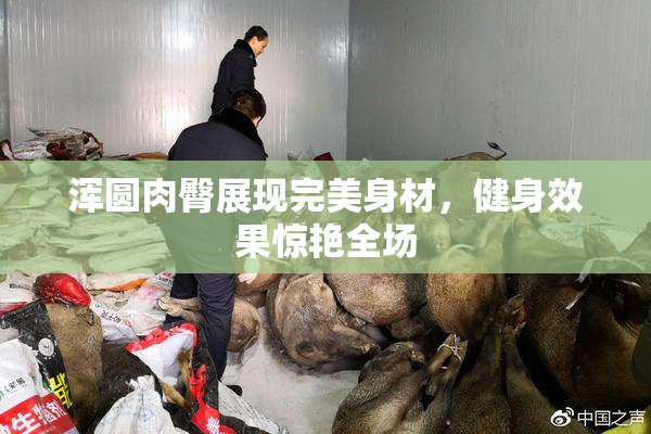 浑圆肉臀展现完美身材，健身效果惊艳全场