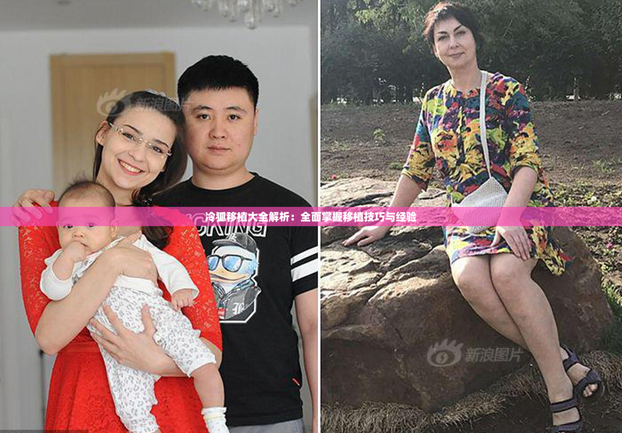 冷狐移植大全解析：全面掌握移植技巧与经验