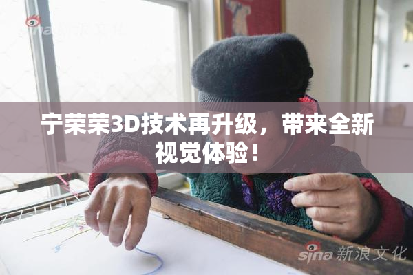 宁荣荣3D技术再升级，带来全新视觉体验！