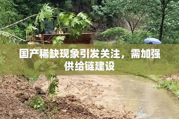 国产稀缺现象引发关注，需加强供给链建设
