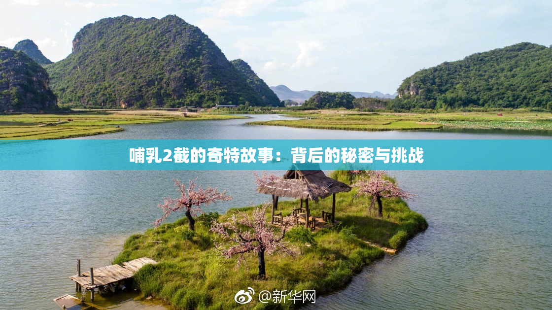 哺乳2截的奇特故事：背后的秘密与挑战