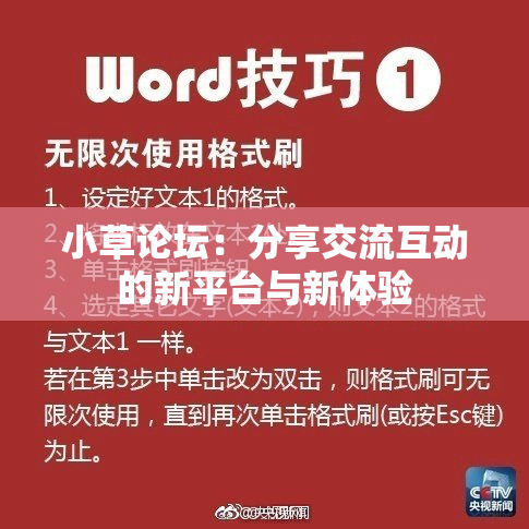 小草论坛：分享交流互动的新平台与新体验