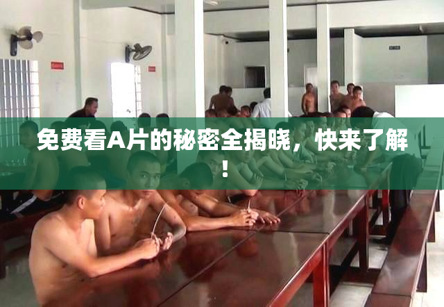 免费看A片的秘密全揭晓，快来了解！