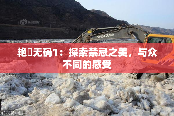 艳鉧无码1：探索禁忌之美，与众不同的感受