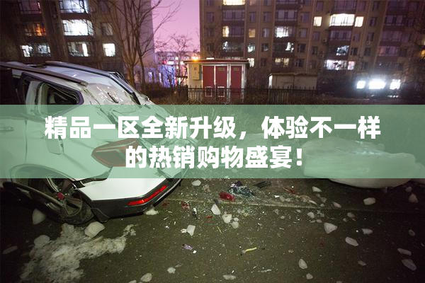 精品一区全新升级，体验不一样的热销购物盛宴！
