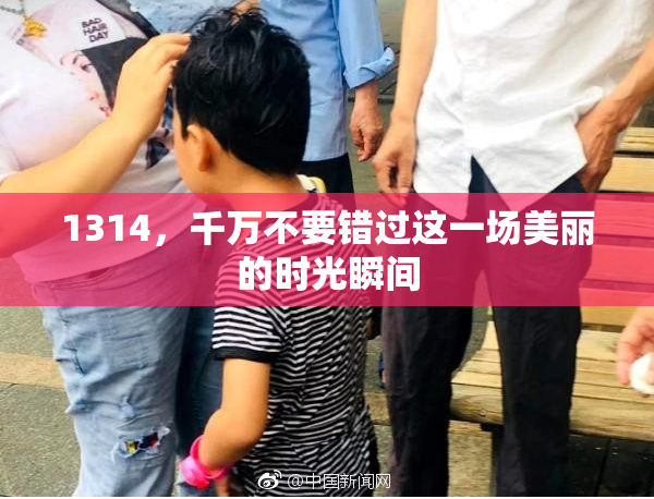 1314，千万不要错过这一场美丽的时光瞬间