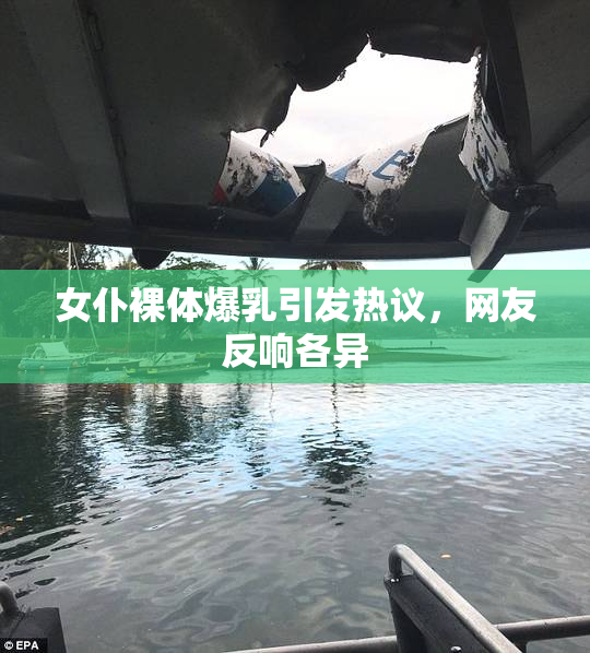 女仆裸体爆乳引发热议，网友反响各异