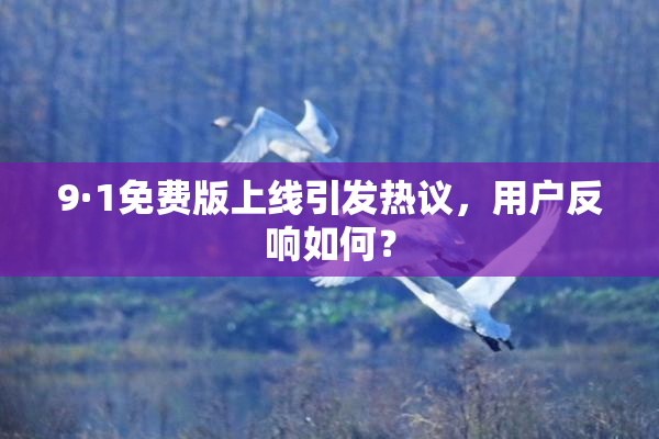 9·1免费版上线引发热议，用户反响如何？